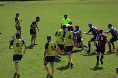 IMG_5917