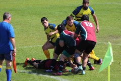 IMG_6020