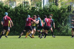 IMG_6618