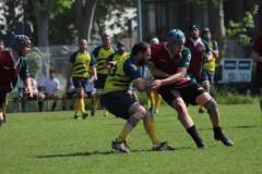 IMG_6679