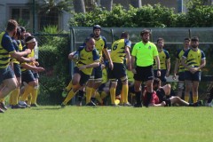 IMG_7000