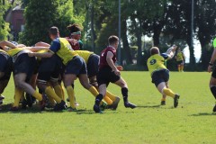 IMG_7072