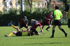 IMG_7081