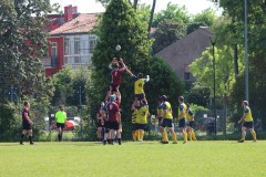 IMG_7137