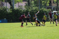 IMG_7258