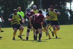IMG_7328
