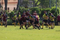 IMG_7518