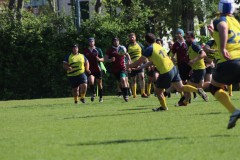 IMG_7742