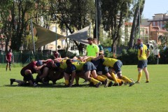 IMG_7874