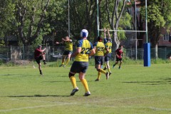 IMG_7882