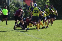 IMG_7965