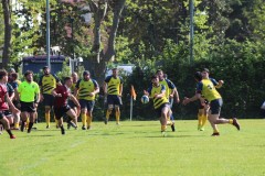IMG_8215