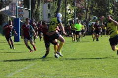 IMG_8221