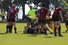IMG_8266