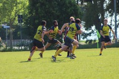 IMG_8341