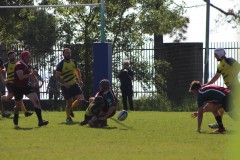 IMG_8466