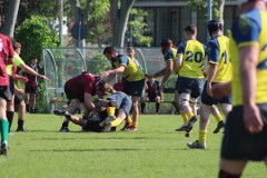 IMG_8538